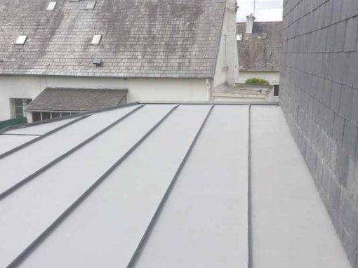 rénovation-couverture-zinc-quartz-sur-garage-2_1