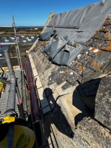 1fa09e5c-96a9-46d3-ab55-e0d2dd8fcc55-225x300