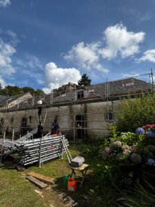 2ae816d9-644e-4a97-b05d-52d1d96b339e-225x300