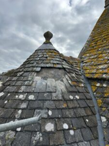 6fc64978-1ed5-429a-9110-d2d002399891-225x300