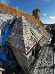 7114d1b9-ee8a-441a-a342-fb3b2287f02c-225x300