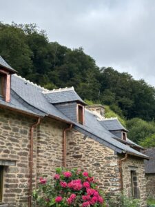 faa31689-4983-4c94-8022-15862d036736-225x300